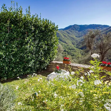 Vakantiehuis Borgo Degli Ulivi